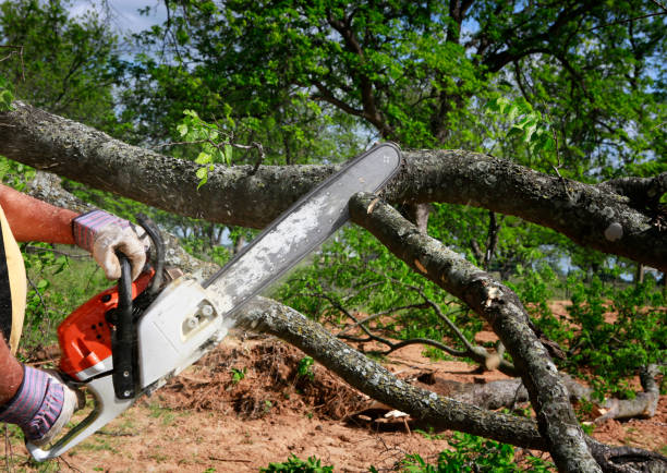 Mulching Services in Edneyville, NC